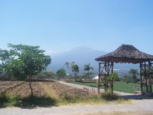 Gunung Arjuno